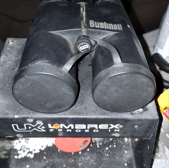 Bushnell binoculars - Picture 2 of 3